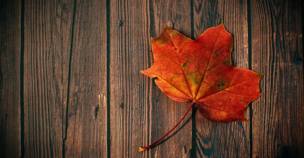 Les accessoires incontournables pour l'automne